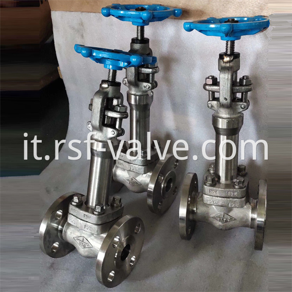 Api602 F316 Bonnet Extended Gate Valve